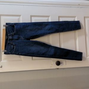 Banana Republic Premium Denim Skinny Jeans, 25
